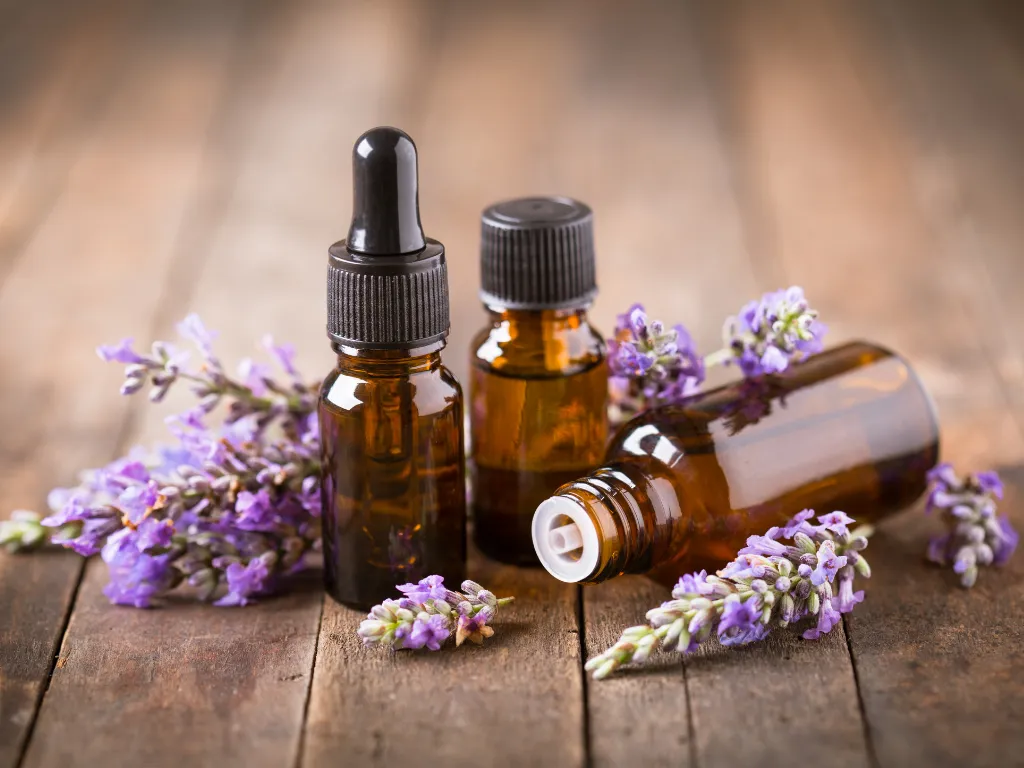 Therapist applying lavender oil on client’s back